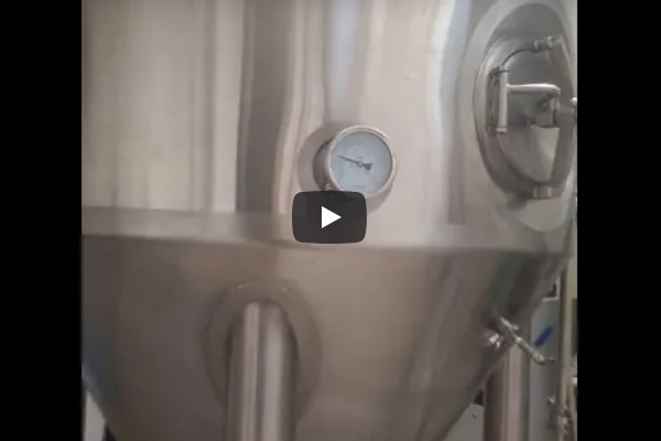 Video-20HL啤酒发酵罐在意大利